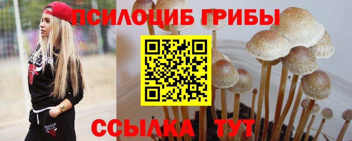 Псилоцибиновые грибы MAGIC MUSHROOMS Электрогорск