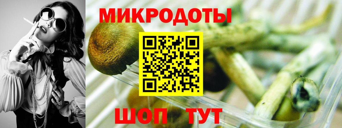 Электрогорск  Галлюциногенные грибы Psilocybe  купить закладку  Вход с VPN  Галлюциногенные грибы прущие грибы 