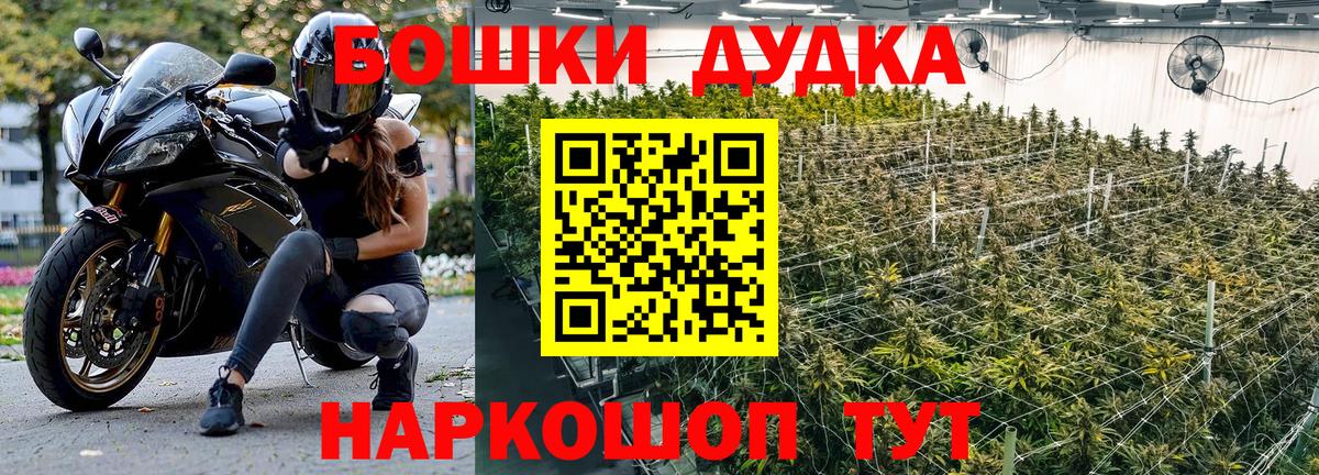 Конопля White Widow  Вход с VPN  Электрогорск  Шишки марихуана план 